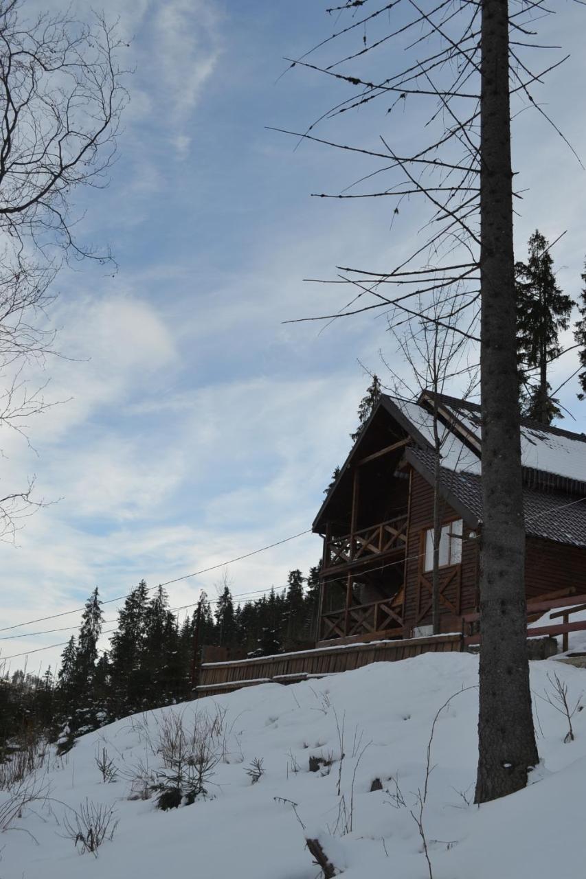 Chalet Shepit Karpat Bukovel Exterior photo
